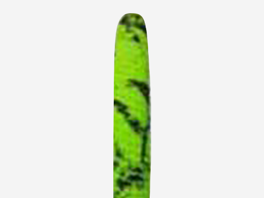 E501